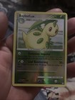 Bayleef
