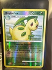 Bayleef