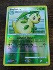 Bayleef