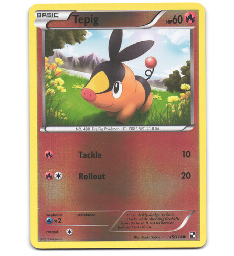 Tepig