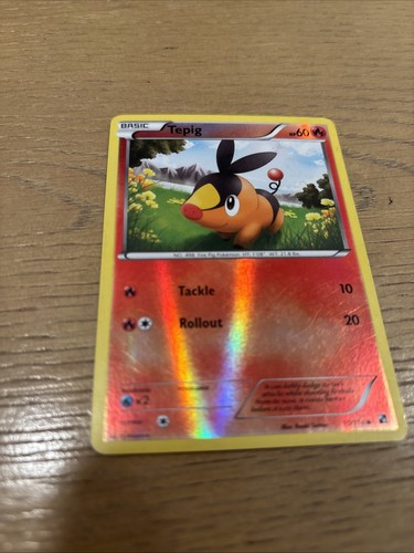 Tepig