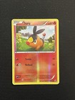 Tepig