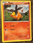 Tepig