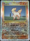 Ponyta