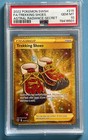 Trekking Shoes