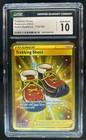 Trekking Shoes