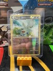 Togetic