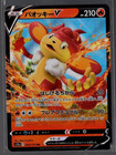 Ultra Ball