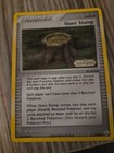 Giant Stump