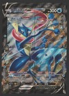 Greninja V-Union