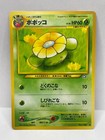 Skiploom