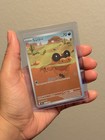 Sandile
