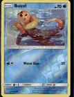 Buizel