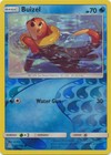 Buizel