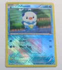 Oshawott