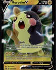 Morpeko V