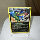Flygon