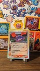 Salamence