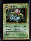 M Venusaur EX