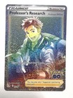 Professor's Research: Professor Willow