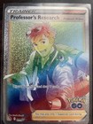 Professor's Research: Professor Willow