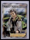 Professor's Research: Professor Willow