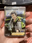 Professor's Research: Professor Willow