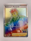 Professor's Research: Professor Willow