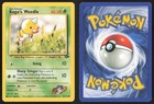 Koga's Weedle