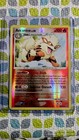 Arcanine