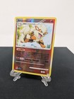 Arcanine