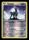 Cobalion