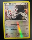 Minccino