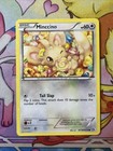 Minccino