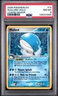 Wailord