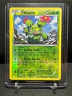 Maractus