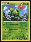 Maractus