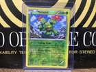 Maractus