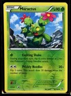 Maractus