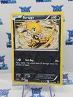 Scraggy