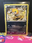 Scraggy