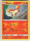 Ponyta