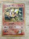 Blaine's Growlithe