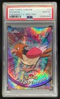Spearow