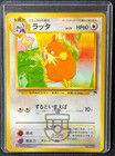 Raticate