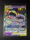 Muk & Alolan Muk Tag Team GX