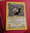 Dark Magneton