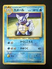 Wartortle