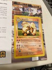 Arcanine