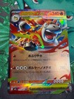 Mega Camerupt Ex